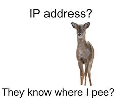 they know where i pee